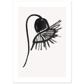 Drift Forms VI with border art print minimalistische poster in japandi stijl, aquarel art, botanische kunst